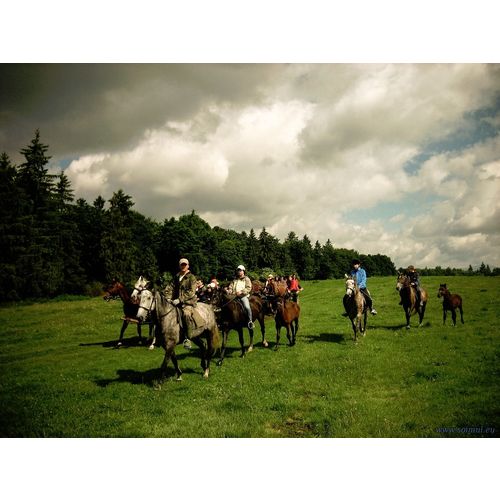 Кликните для увеличения изображения