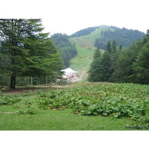 Кликните для увеличения изображения